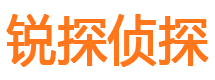 东方市私家侦探